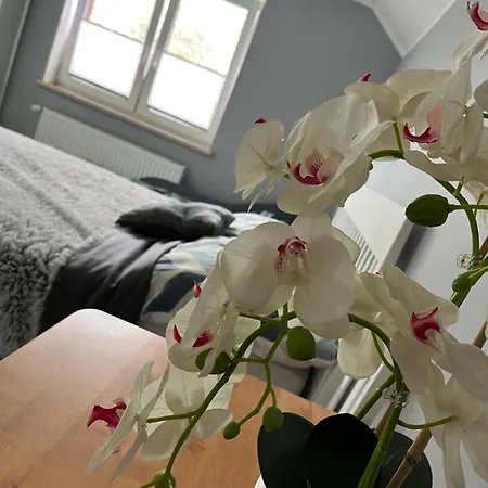 Goscinne U Sylwii Rum i privatbostad