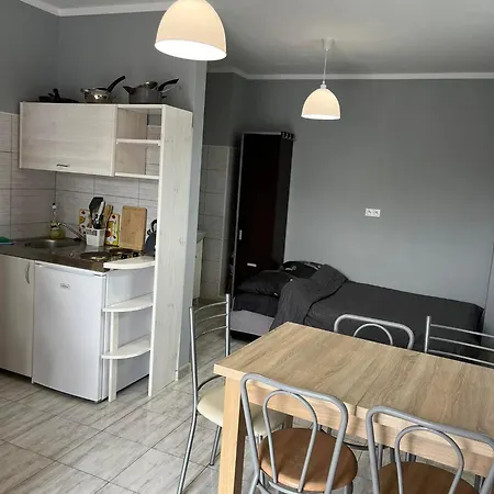 ホームステイ Goscinne U Sylwii *