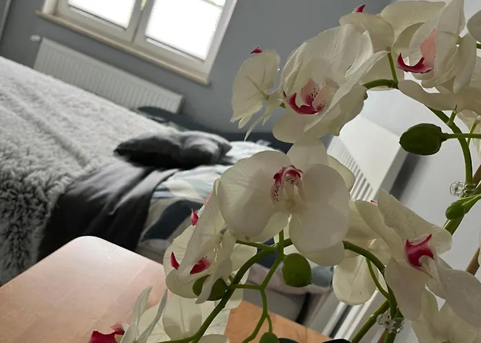 Goscinne U Sylwii Alloggio in famiglia